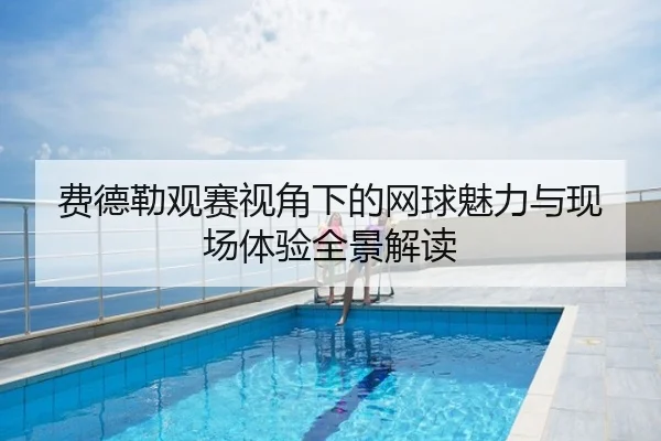费德勒观赛视角下的网球魅力与现场体验全景解读