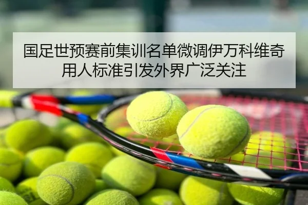 国足世预赛前集训名单微调伊万科维奇用人标准引发外界广泛关注